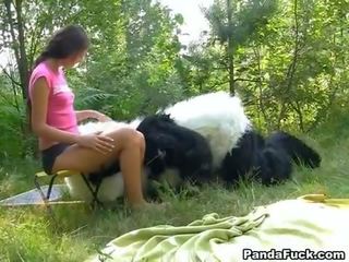 Sesso in il bosco con un enorme giocattolo panda